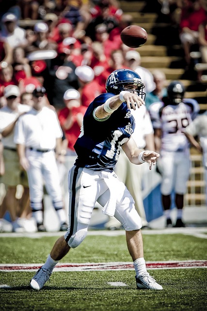 不仅展现了 不仅展现了