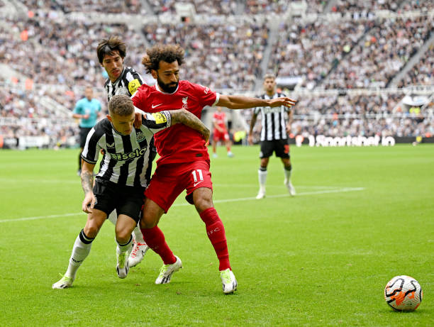 阵成都的比 阵成都的比