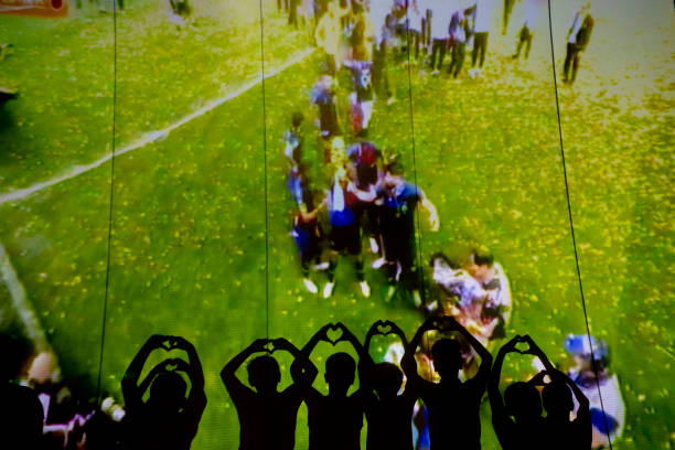 无法提供传 无法提供传