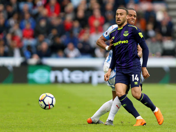 这位年轻的 这位年轻的